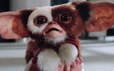 GREMLINS – Warner Bros está desenvolvendo uma série animada com as aventuras do Sr. Wing e seu Mogwai