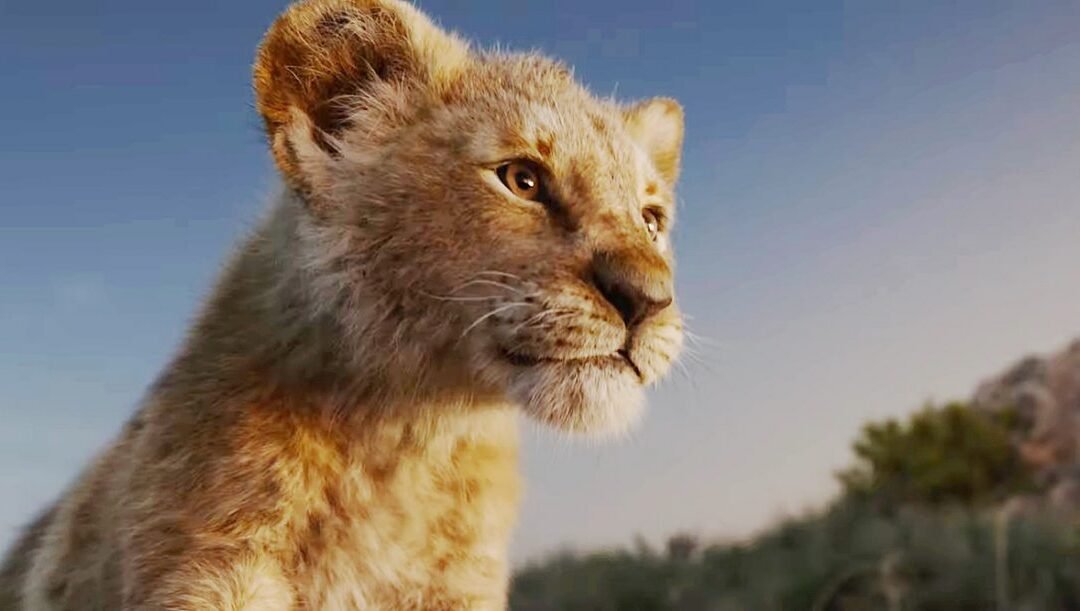O Rei Leão | A Disney lançou um novo trailer com vários personagens