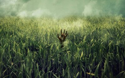 Campo do Medo | Terror baseado na obra de Stephen King na Netflix