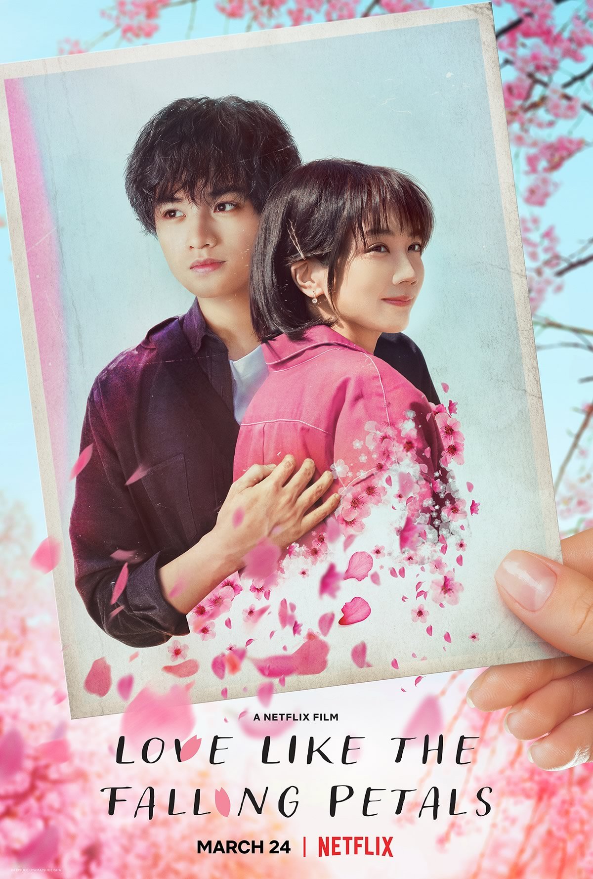 Como Pétalas que Caem | Drama romântico japonês com Kento Nakajima e Honoka Matsumoto na Netflix
