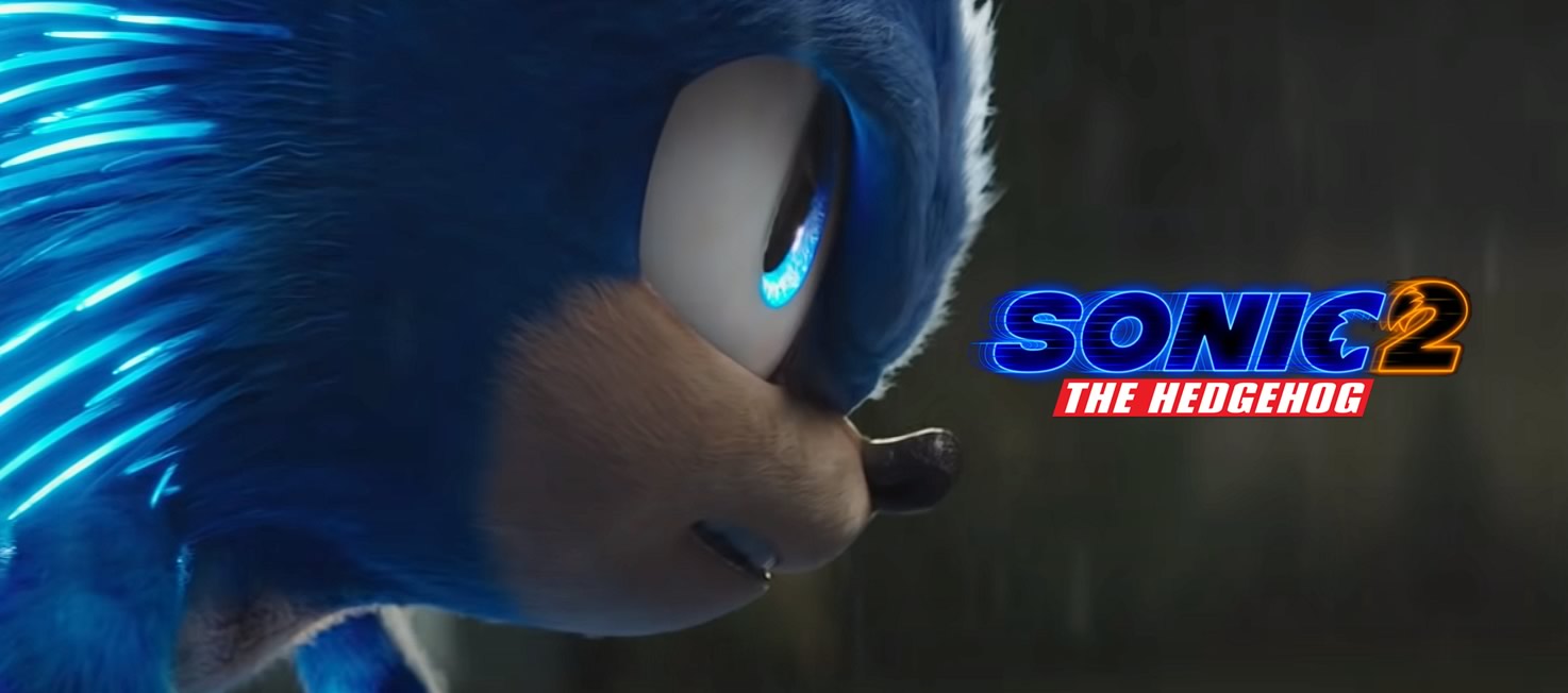 Sonic The Hedgehog ( Sonic O Filme 2 )  Sonic the hedgehog, Hedgehog  movie, Sonic