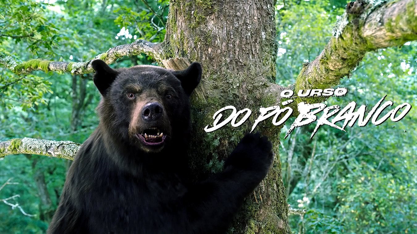 O Urso do Pó Branco | Conheça a verdadeira história que inspirou o filme Cocaine Bear da Universal Pictures