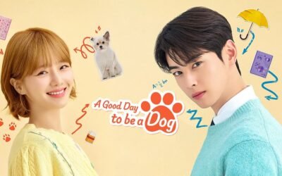 A Good Day to Be a Dog | Cha Eun Woo e Park Gyu Young em dorama de comédia romântica no Viki