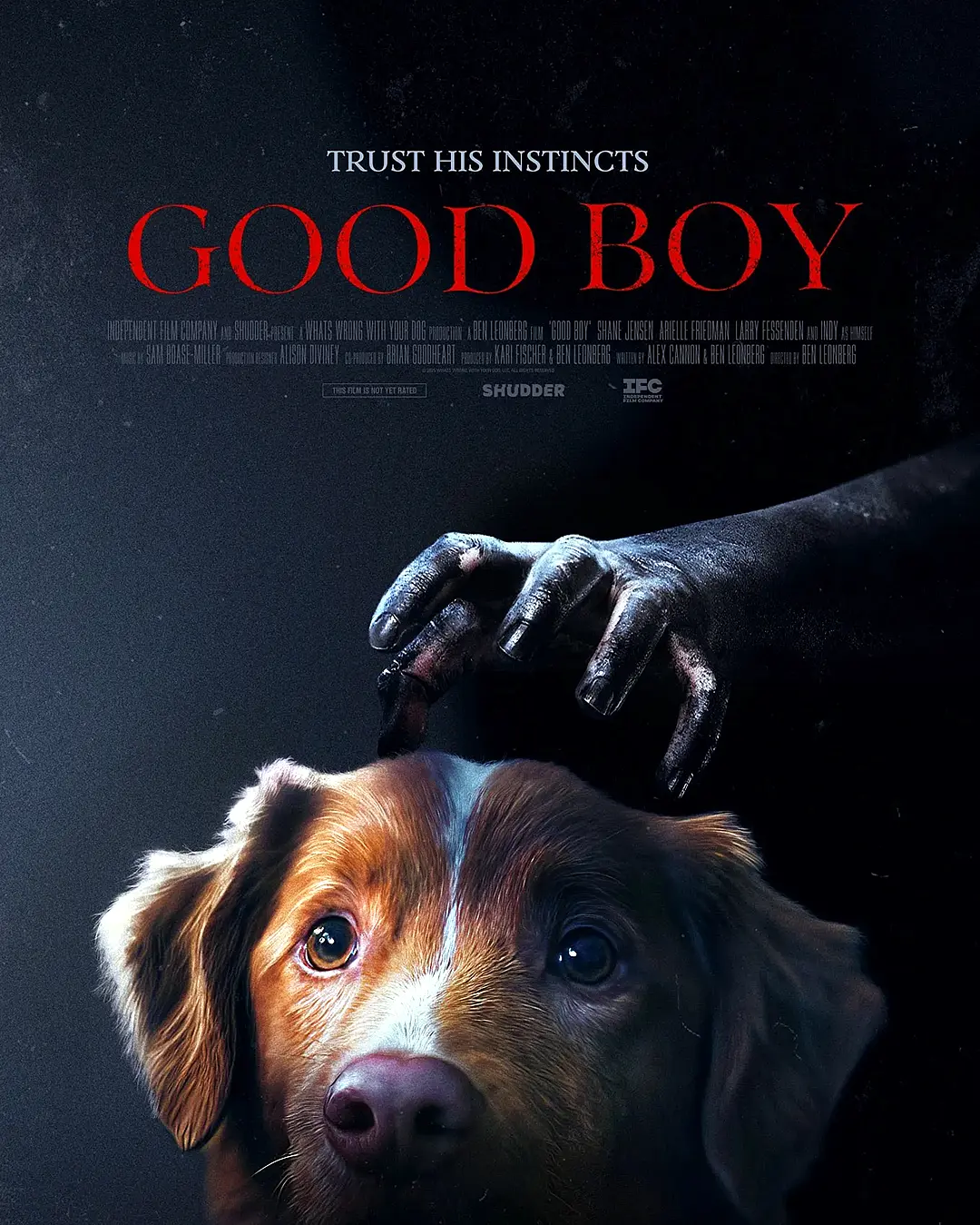 Good Boy: Filme de terror sob a perspectiva de um Cão e seu destino na trama