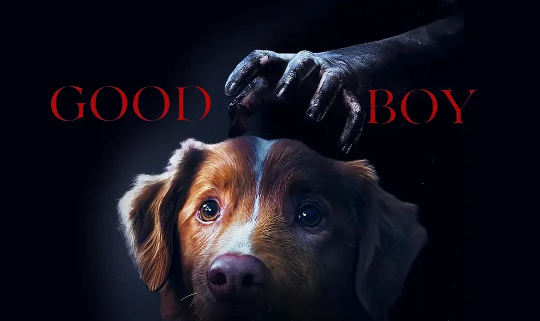 Good Boy: Filme de terror sob a perspectiva de um Cão e seu destino na trama